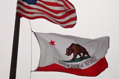 California flag trying to escape